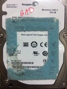 ST925031EAS