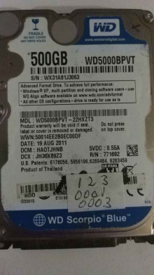 WD5000BPVT-22HXZT3