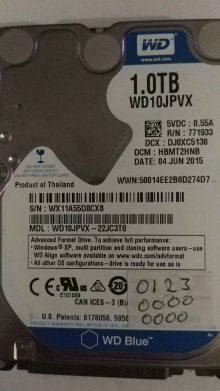 WD10JPVX-22JC3T0