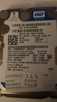 WD5000BPVT-75HXZT3