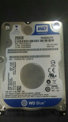 WD2500LPCX-24C6HT0