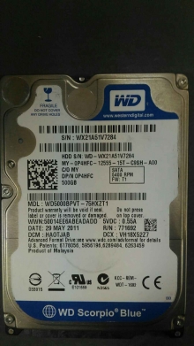 WD5000BPVT-75HXZT1