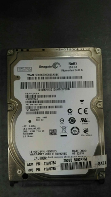 ST9250315AS