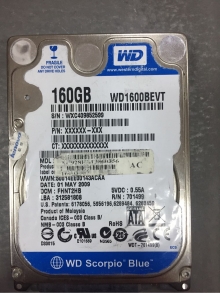 WXC409852599