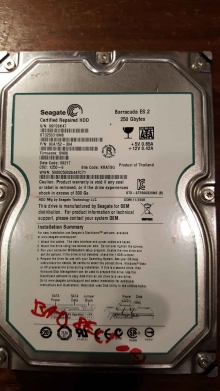 ST3250310NS