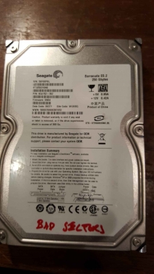 ST3250310NS