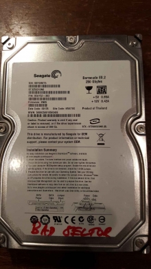 ST3250310NS