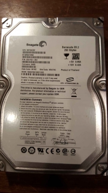 ST3250310NS