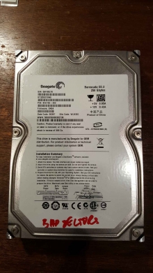 ST3250310NS