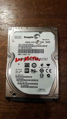 ST9750420AS