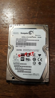 ST9750420AS