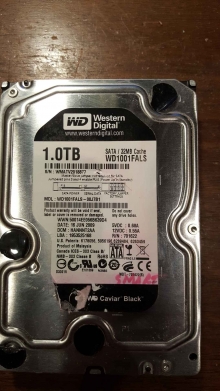 WD1001FALS-00J7B1