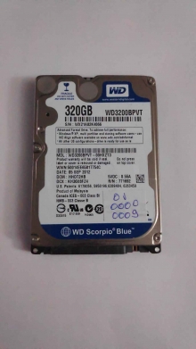 WD3200BPVT-00HXZT3