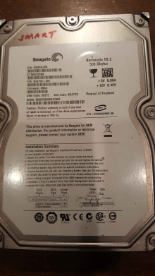 ST3500320NS