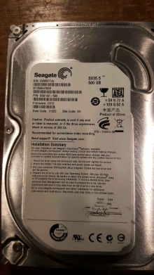 ST3500410SV