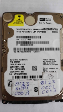 WD5000BMVW-11AMCS0