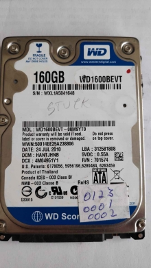 WD1600BEVT-00M9YT0