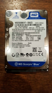 WD2500BEVT-08A23T1