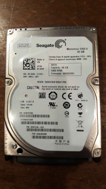 ST980313AS