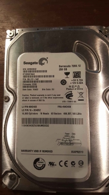 ST3250318AS