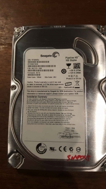ST3160310CS