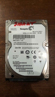 ST9250315AS