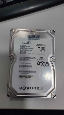 ST3250310NS