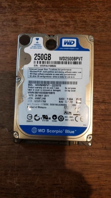 WD2500BPVT-22ZEST0